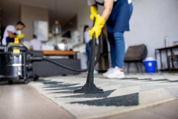 Professional cleaners working in North Wales home